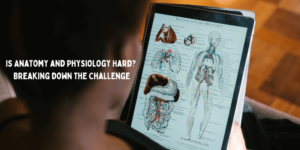 Read more about the article Is Anatomy and Physiology Hard? 7 Tips to Pass in Nursing