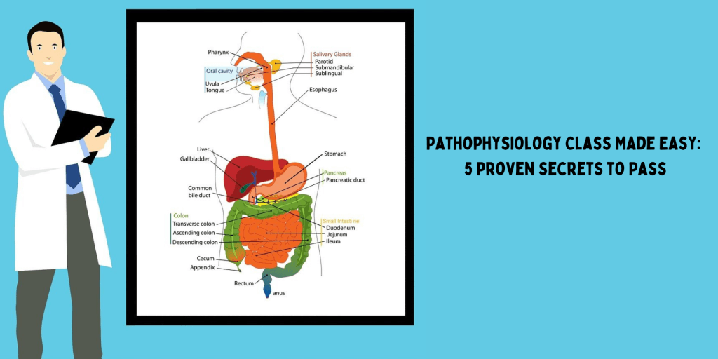 You are currently viewing Pathophysiology Class Made Easy: 5 Proven Secrets to Pass