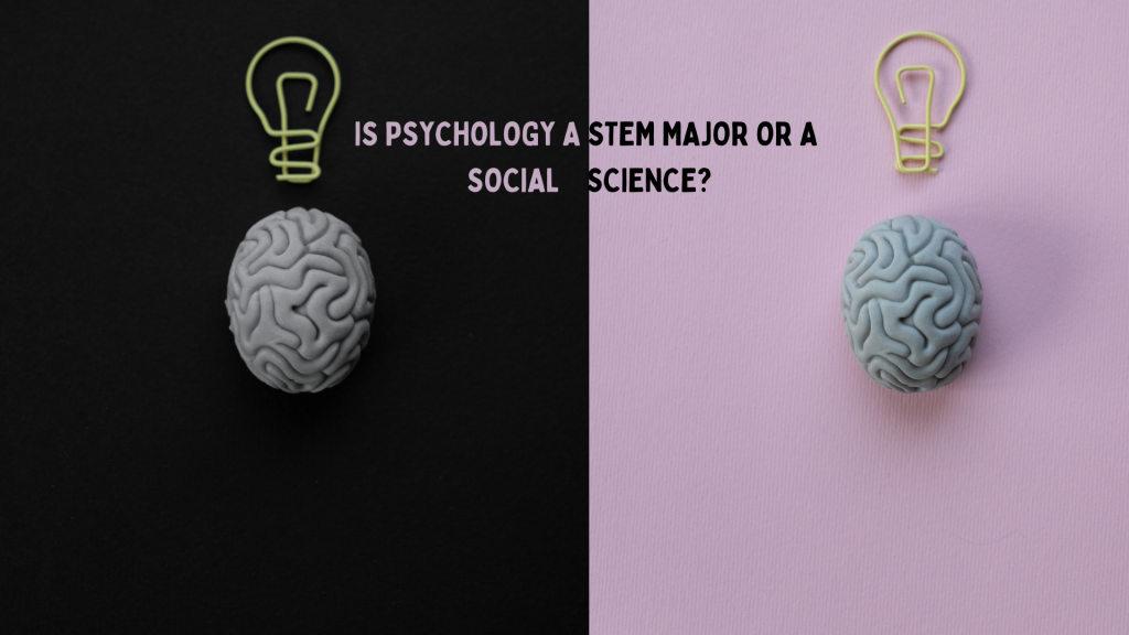 Read more about the article Is Psychology a STEM Major or a Social Science?