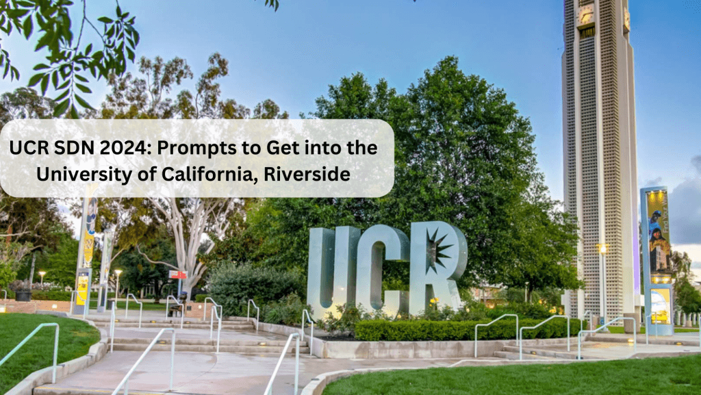 Read more about the article UCR SDN 2024: Prompts to Get into the University of California, Riverside