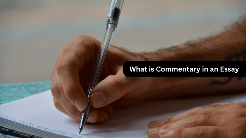 You are currently viewing What is Commentary in an Essay